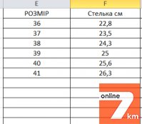Мокасины женские (кожаные ) очень легкие производство Чехия
