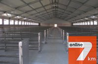 Ангары для сельского хозяйства (зернохранилища, свинарники) под ключ, строительство в Украине.