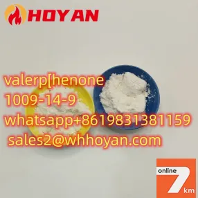 5449-12-7 Bmk powder BMK Glycidic Acid (sodium salt)+8619831381159